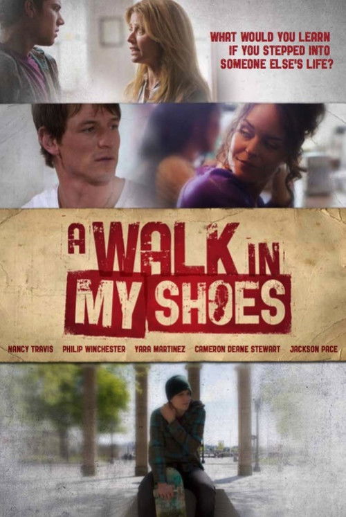 Movie poster for A Walk in My Shoes (2010)