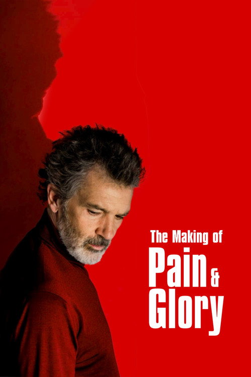 Movie poster for The Making of Pain and Glory (2020)
