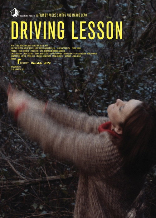 Movie poster for Driving Lesson (2015)