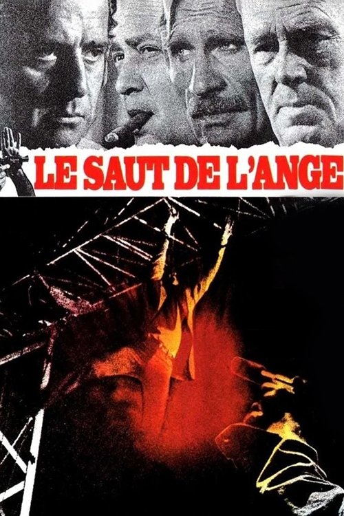 Movie poster for Angel's Leap (1971)