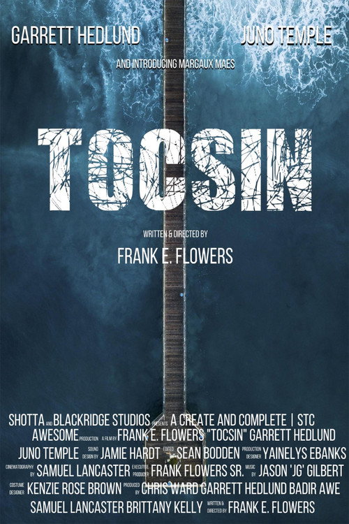 Movie poster for Tocsin (2018)