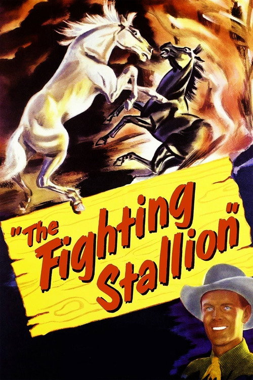 Movie poster for The Fighting Stallion (1950)
