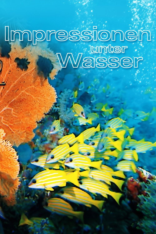 Movie poster for Underwater Impressions (2002)