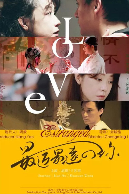 Movie poster for Estranged Love