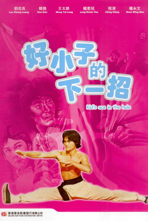 Movie poster for Fighting Ace (1979)