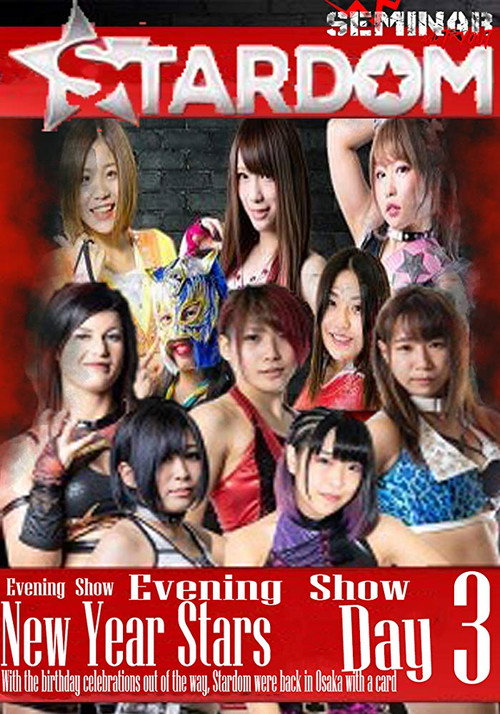 Movie poster for Stardom New Years Stars  Tag 3 (Evening Show) (2019)