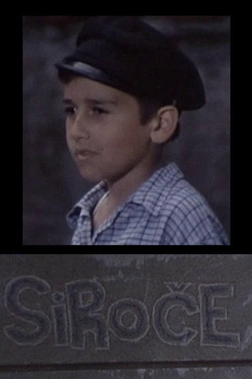 Movie poster for Orphan (1978)