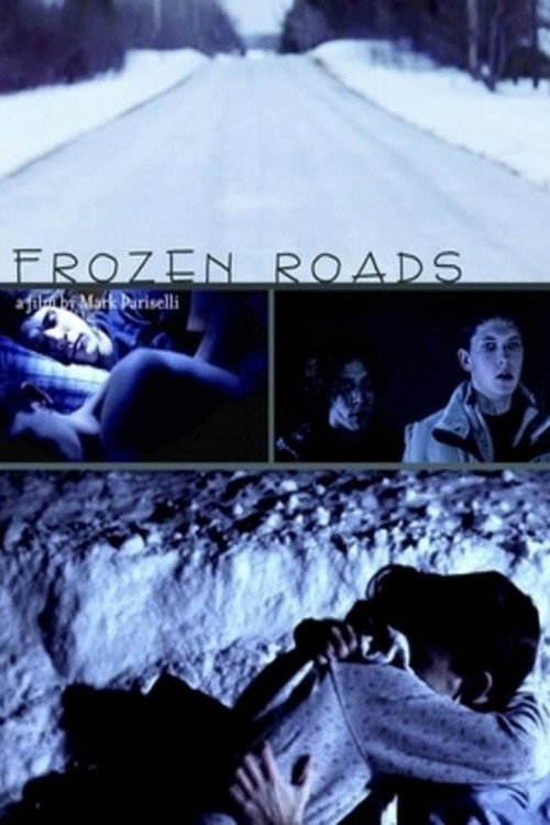 Movie poster for Frozen Roads (2012)