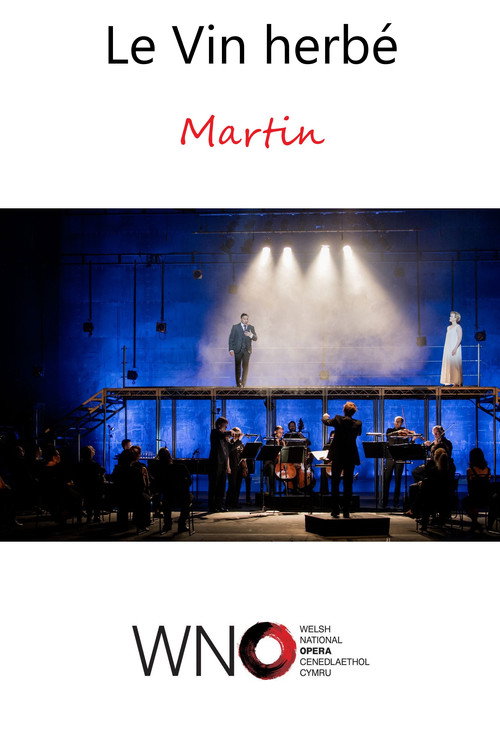 Movie poster for Le Vin herbé - WNO (2020)