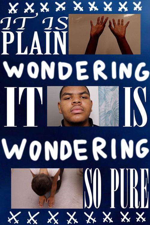 Wondering poster