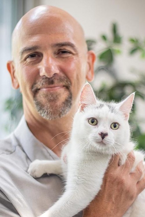 Photo of Dr. Bruce Kornriech, Acting