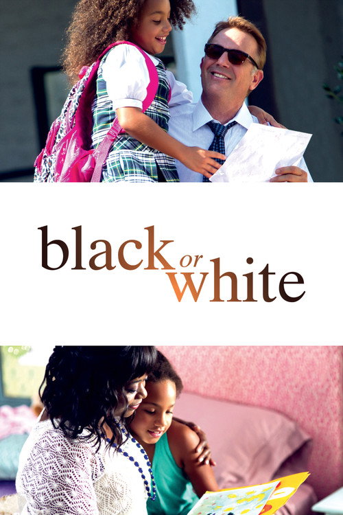Movie poster for Black or White (2015)