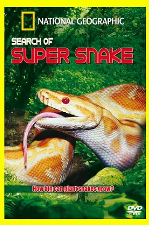 Movie poster for Search For the Supersnake