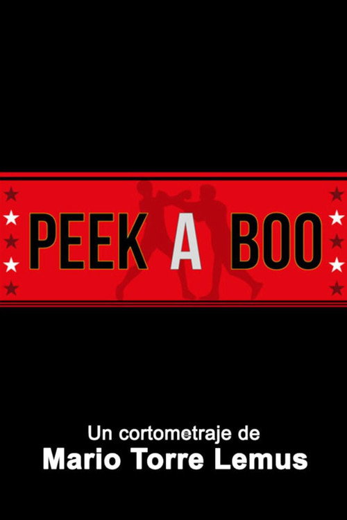 Movie poster for Peek-A-Boo (2014)