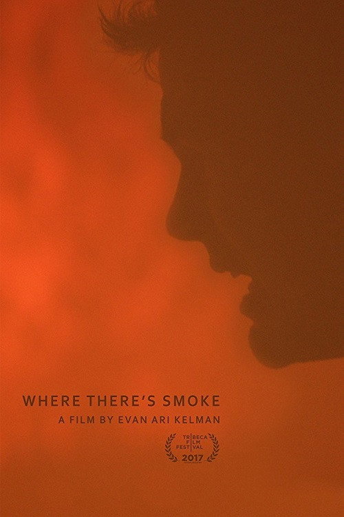 Movie poster for Where There's Smoke (2017)