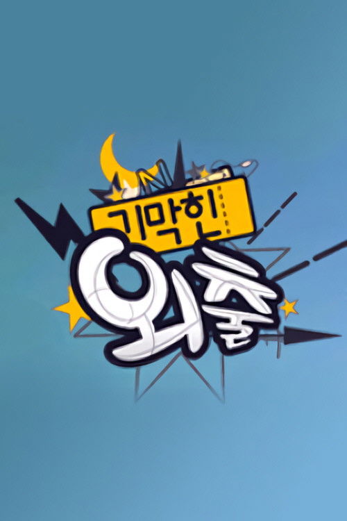 기막힌 외출 poster