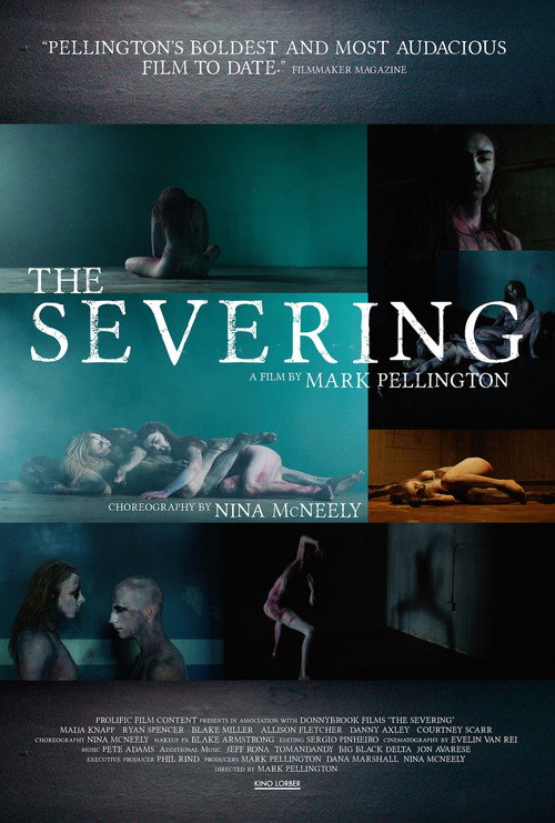 Movie poster for The Severing (2022)