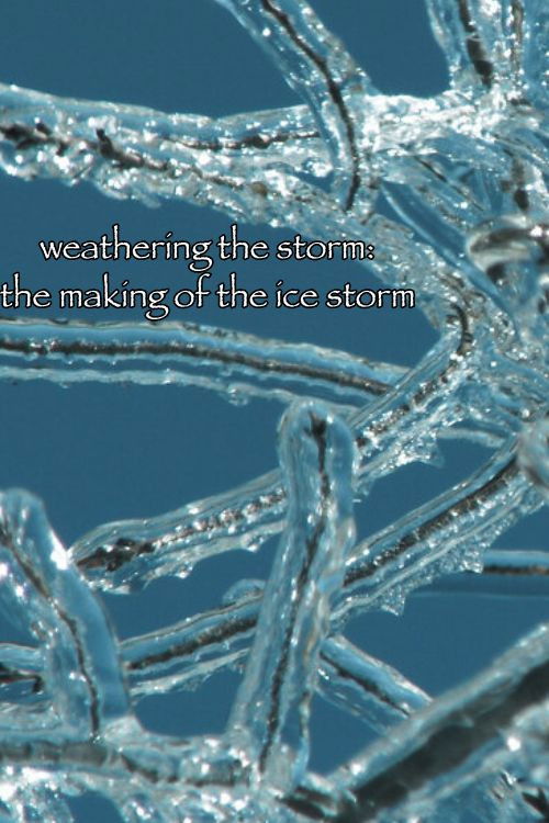 Movie poster for Weathering the Storm: The Making of The Ice Storm (2007)