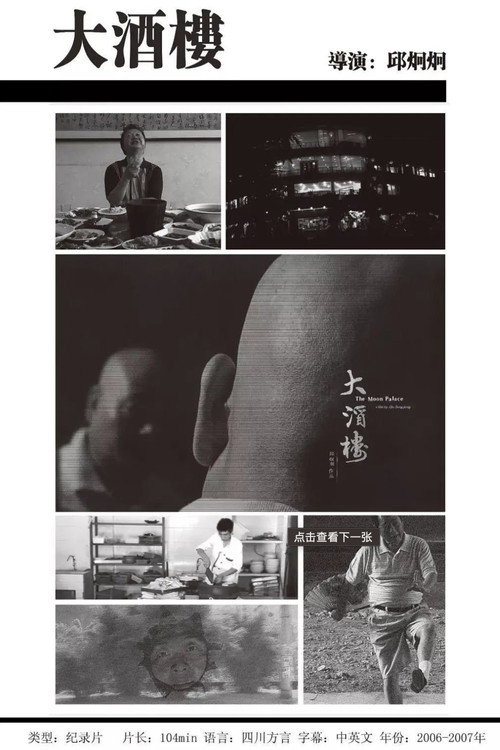 Movie poster for The Moon Palace (2007)