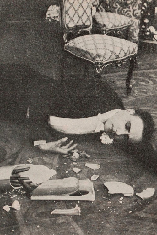 Movie poster for The Broken Vase (1913)
