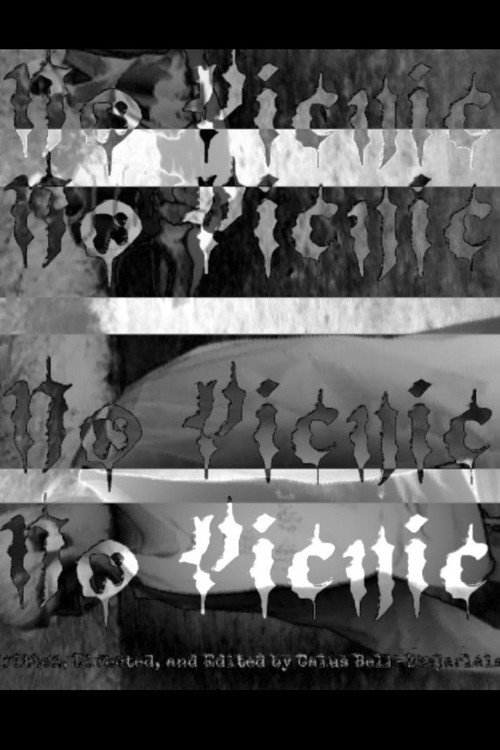 Movie poster for No Picnic