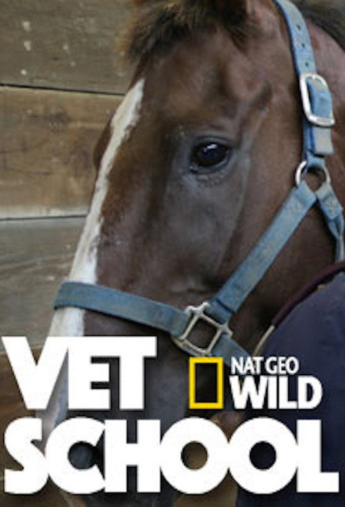 Series poster for Vet School (2015)