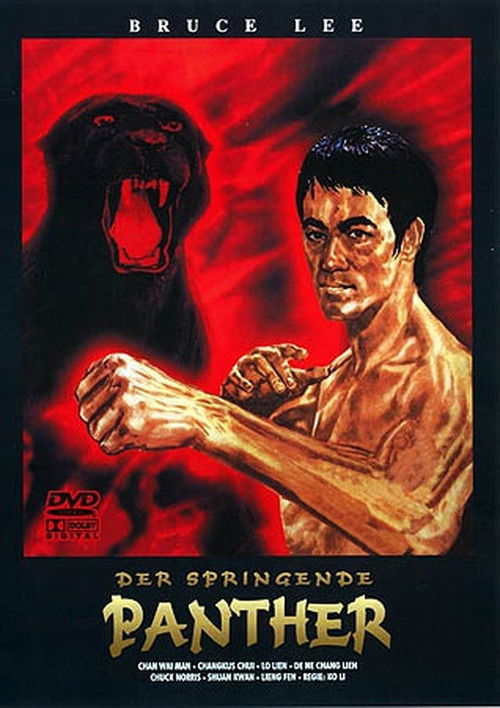 Movie poster for The Fist of Justice (1973)