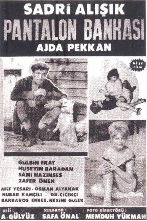 Movie poster for Pantolon Bankası (1965)