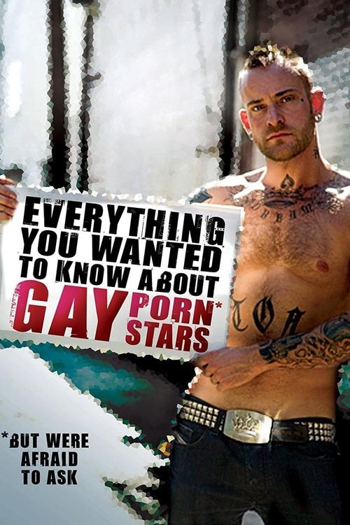 Movie poster for Everything You Wanted to Know About Gay Porn Stars: The Movie (2008)