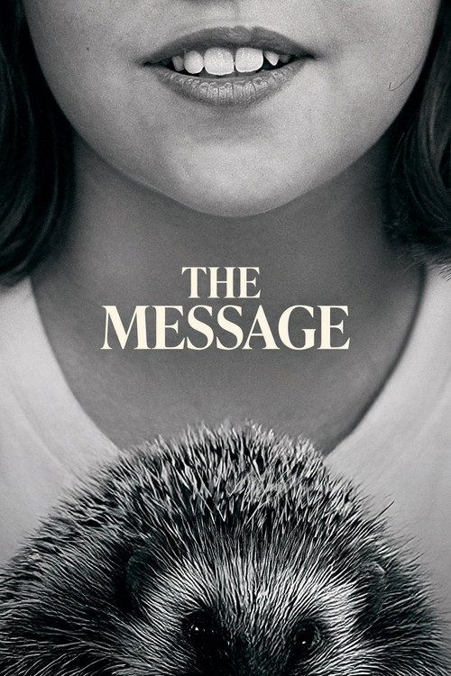 Movie poster for The Message (2025)