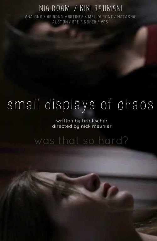 Movie poster for Small Displays of Chaos (2015)