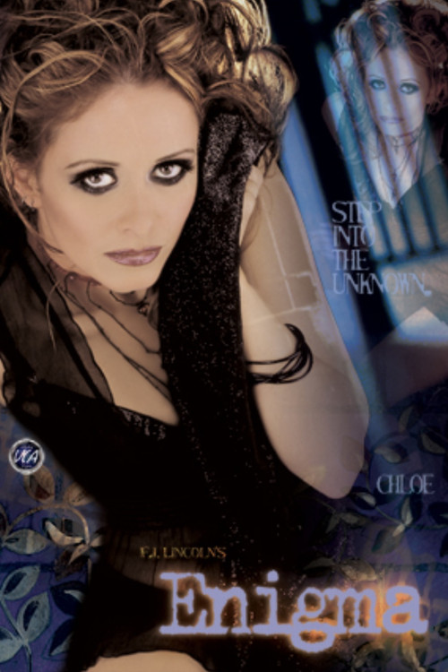 Movie poster for Enigma (2003)