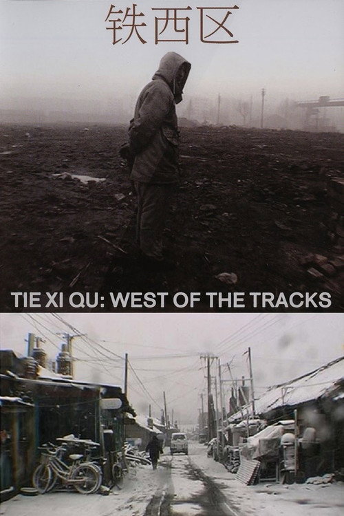 Movie poster for Tie Xi Qu: West of the Tracks (2004)
