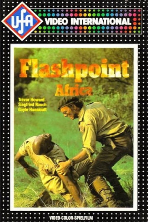 Movie poster for Flashpoint Africa (1980)