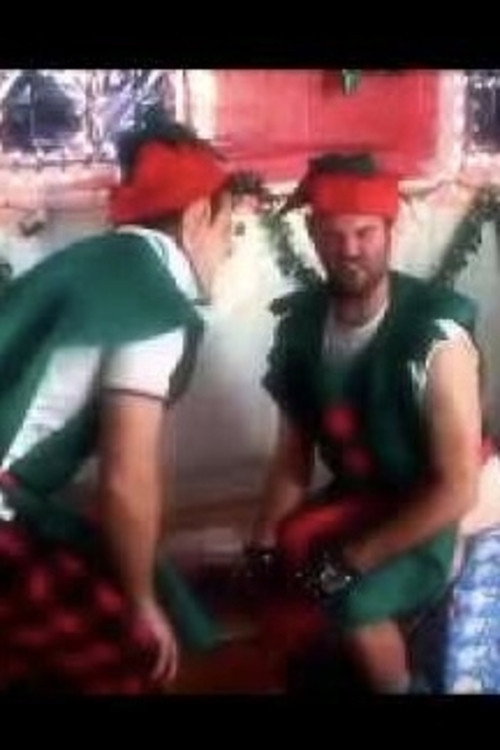 Movie poster for Dick Elves (2011)