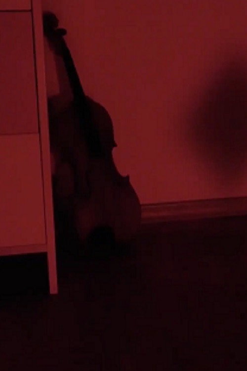 Movie poster for Schatten (2019)