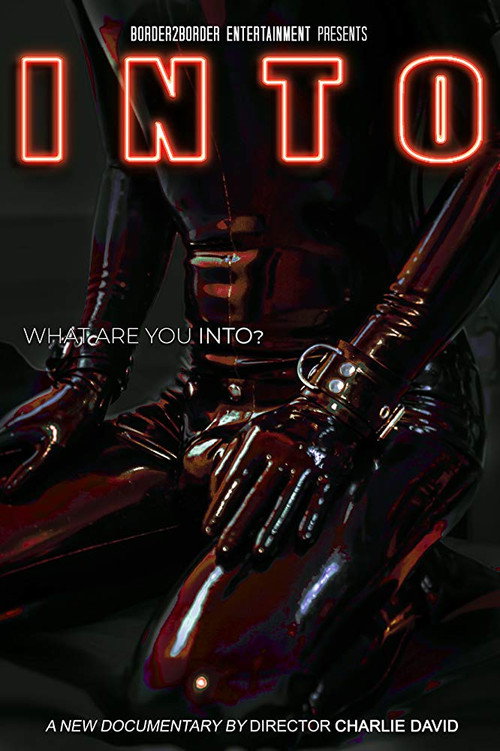 Movie poster for Into (2020)