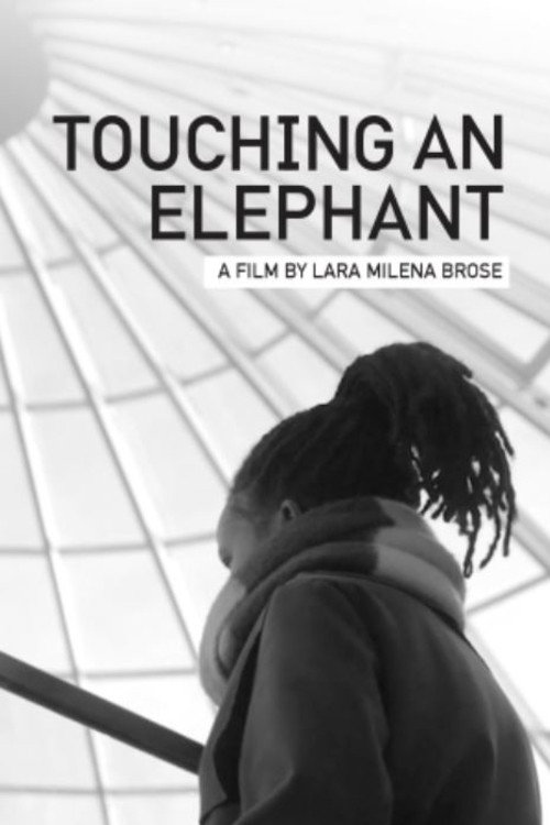 Movie poster for Touching An Elephant (2020)