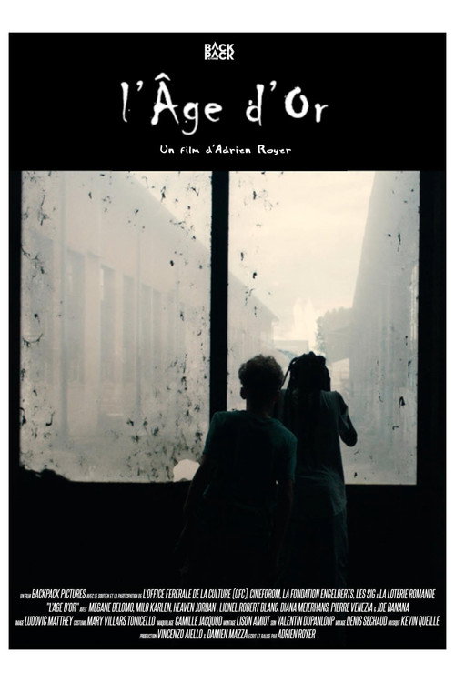 Movie poster for The golden age (2022)