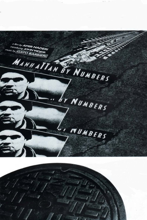 Movie poster for Manhattan by Numbers (1993)