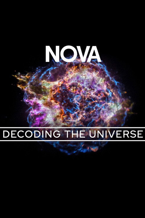 Movie poster for Decoding the Universe: Cosmos (2024)