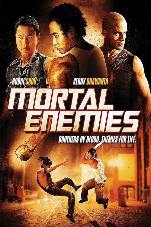 Movie poster for Mortal Enemies (2011)