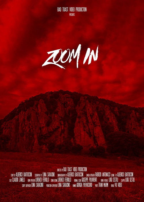 Movie poster for Zoom In (2024)