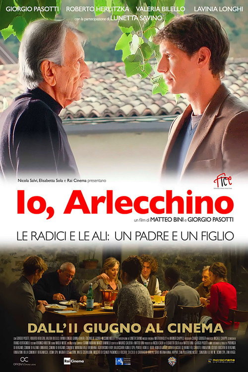Movie poster for Io, Arlecchino (2015)