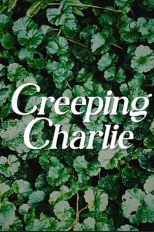Movie poster for Creeping Charlie (2025)