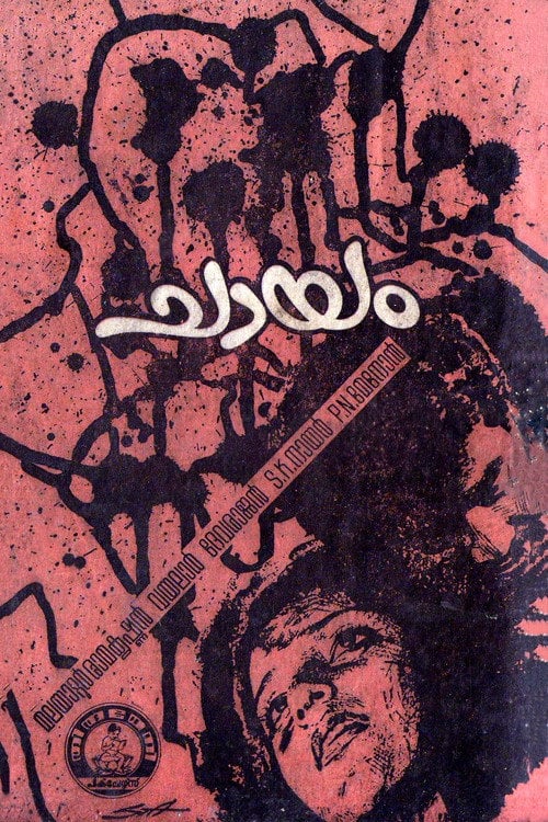 Movie poster for Chaayam (1973)