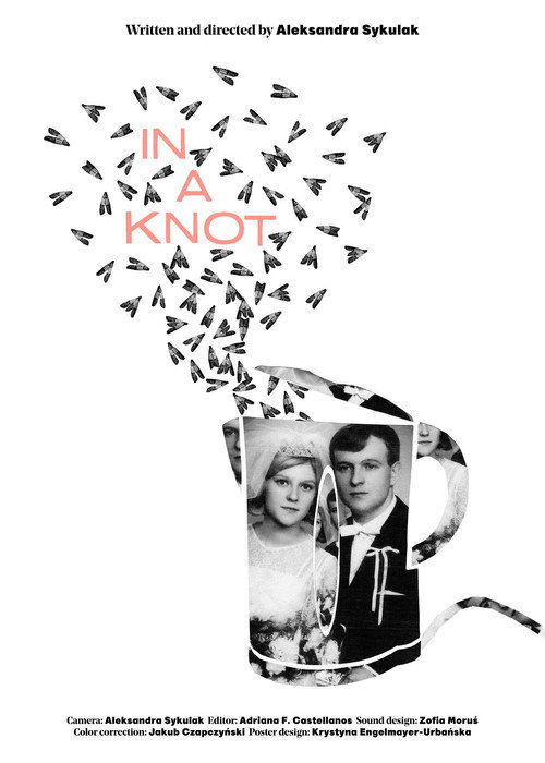 Movie poster for In a Knot (2021)