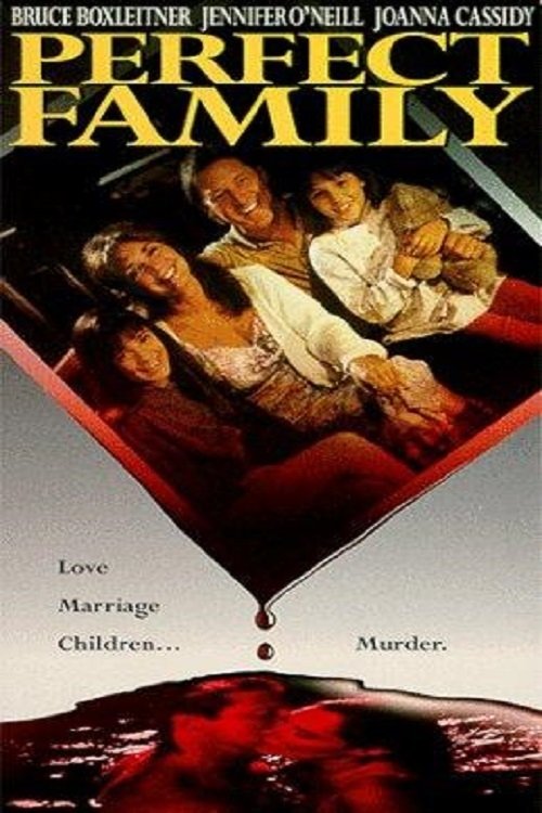 Movie poster for Perfect Family (1992)