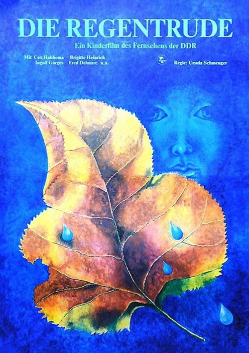 Movie poster for The Rainmaker (1976)