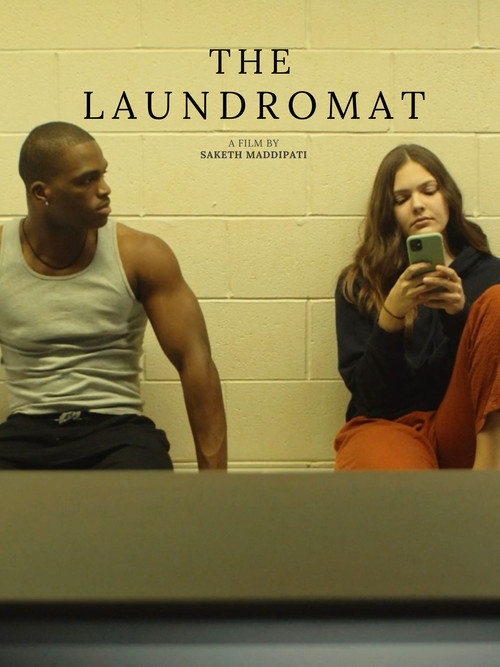 Movie poster for The Laundromat (2022)